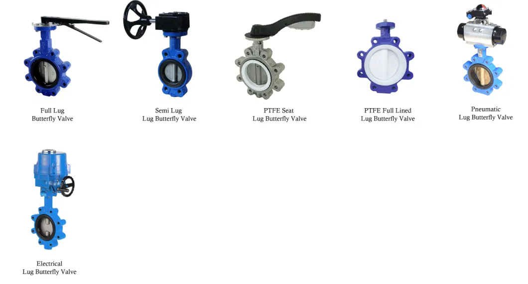 Ductile Iron Resilient Seated Wafer/Lug Type Butterfly Valve